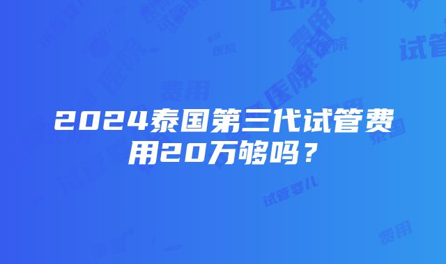 2024泰国第三代试管费用20万够吗？