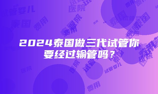 2024泰国做三代试管你要经过输管吗？