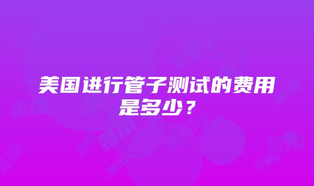 美国进行管子测试的费用是多少？