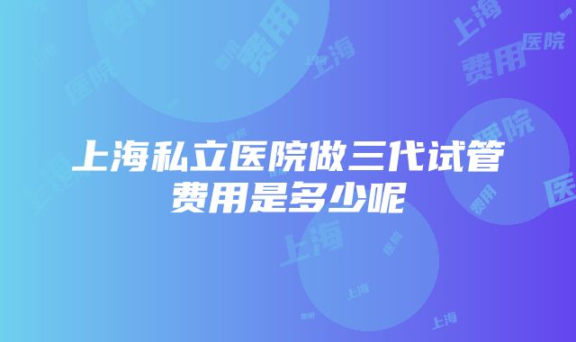 上海私立医院做三代试管费用是多少呢