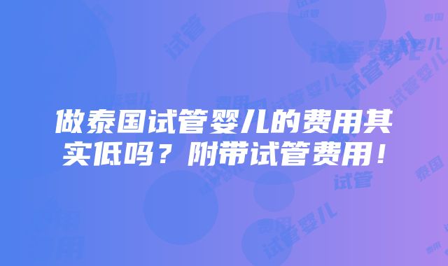 做泰国试管婴儿的费用其实低吗？附带试管费用！