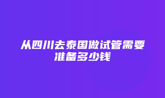 从四川去泰国做试管需要准备多少钱