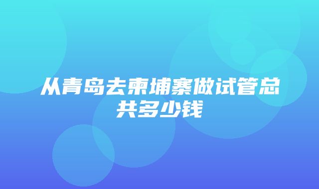 从青岛去柬埔寨做试管总共多少钱