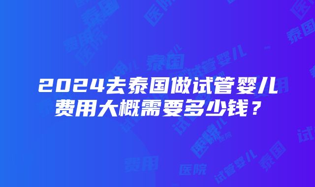 2024去泰国做试管婴儿费用大概需要多少钱？