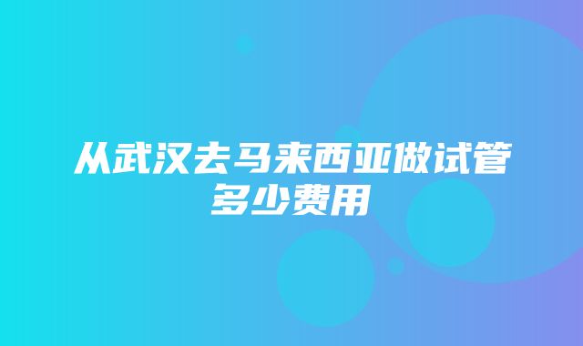 从武汉去马来西亚做试管多少费用