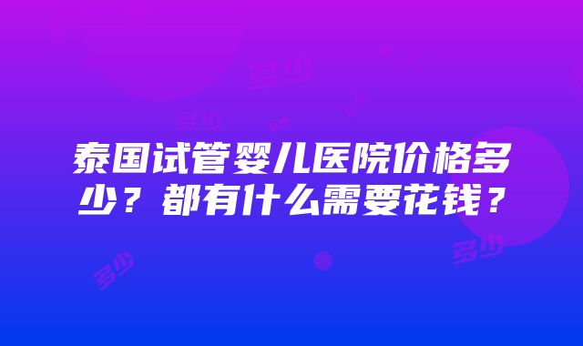 泰国试管婴儿医院价格多少？都有什么需要花钱？