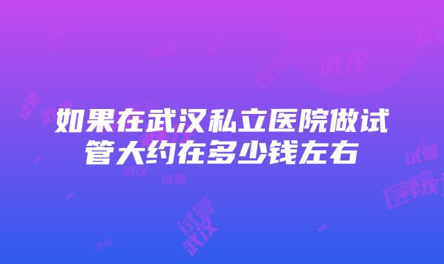 如果在武汉私立医院做试管大约在多少钱左右