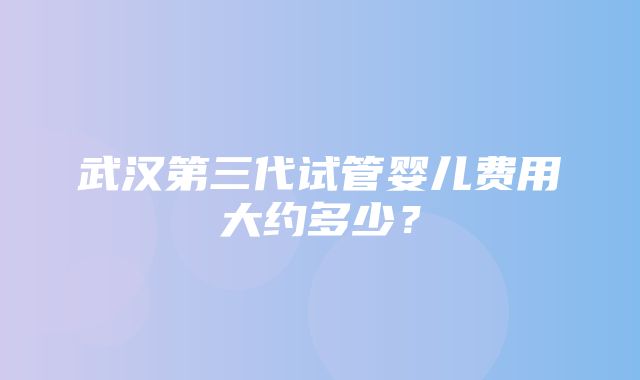 武汉第三代试管婴儿费用大约多少？