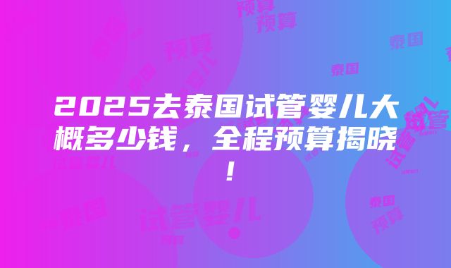 2025去泰国试管婴儿大概多少钱，全程预算揭晓！