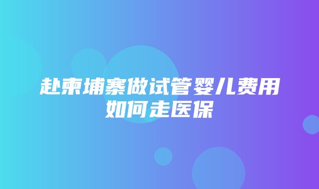 赴柬埔寨做试管婴儿费用如何走医保