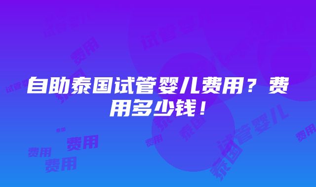 自助泰国试管婴儿费用？费用多少钱！