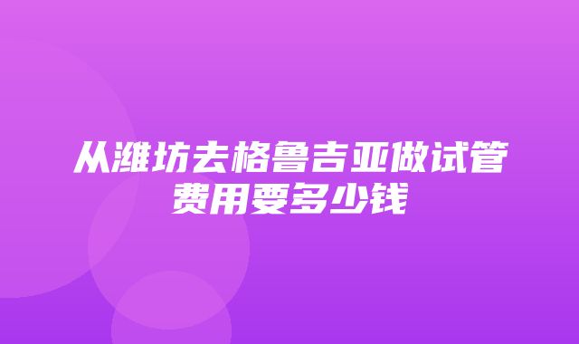 从潍坊去格鲁吉亚做试管费用要多少钱