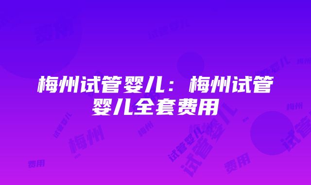 梅州试管婴儿：梅州试管婴儿全套费用