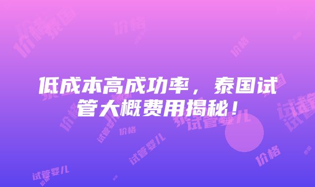 低成本高成功率，泰国试管大概费用揭秘！