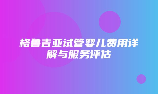 格鲁吉亚试管婴儿费用详解与服务评估