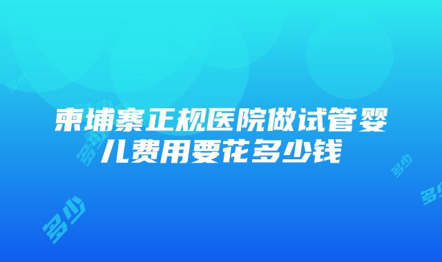 柬埔寨正规医院做试管婴儿费用要花多少钱