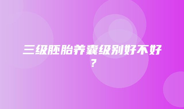 三级胚胎养囊级别好不好？