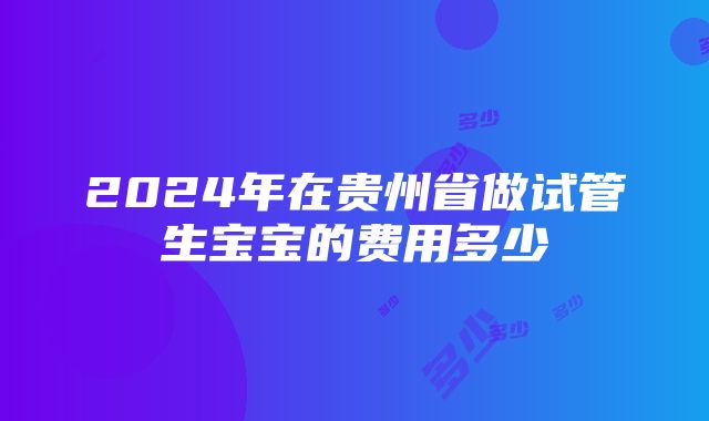 2024年在贵州省做试管生宝宝的费用多少