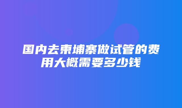 国内去柬埔寨做试管的费用大概需要多少钱