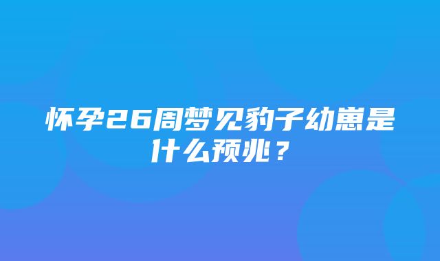 怀孕26周梦见豹子幼崽是什么预兆？