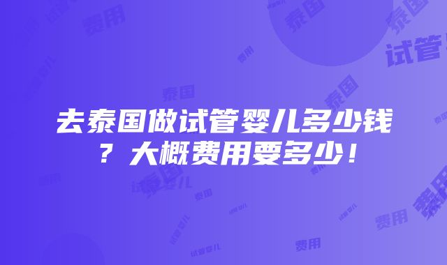 去泰国做试管婴儿多少钱？大概费用要多少！