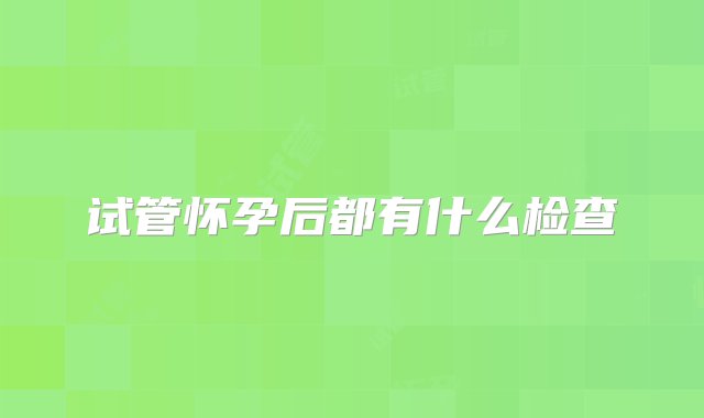 试管怀孕后都有什么检查