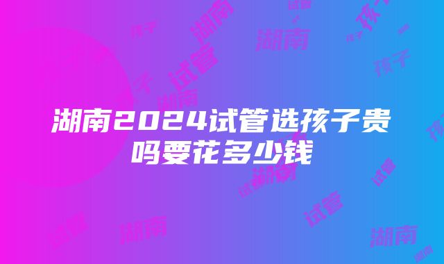 湖南2024试管选孩子贵吗要花多少钱