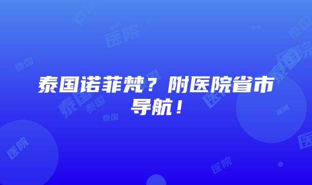 泰国诺菲梵？附医院省市导航！