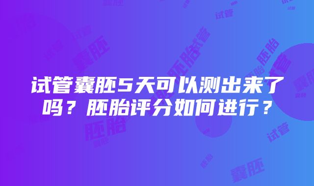 试管囊胚5天可以测出来了吗？胚胎评分如何进行？