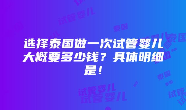 选择泰国做一次试管婴儿大概要多少钱？具体明细是！