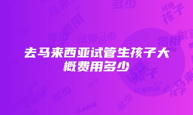 去马来西亚试管生孩子大概费用多少