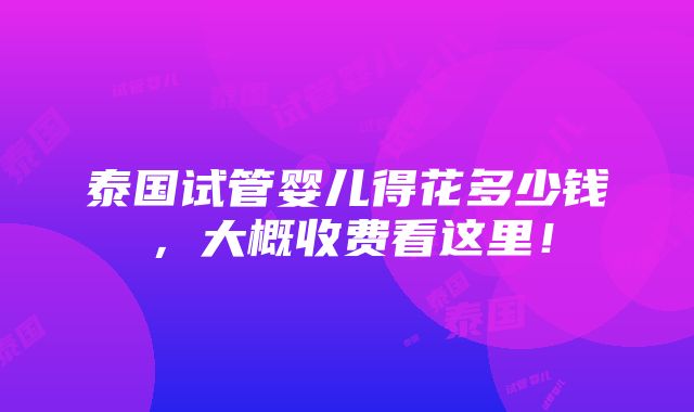 泰国试管婴儿得花多少钱，大概收费看这里！