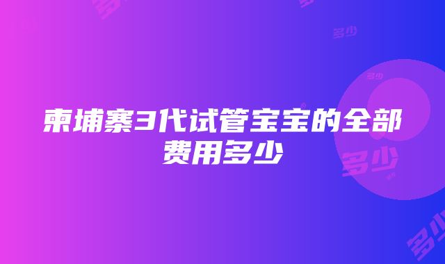 柬埔寨3代试管宝宝的全部费用多少