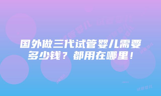 国外做三代试管婴儿需要多少钱？都用在哪里！