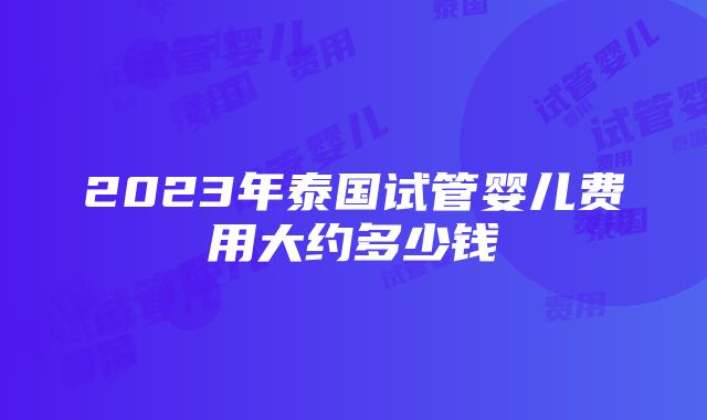 2023年泰国试管婴儿费用大约多少钱