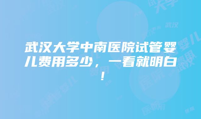 武汉大学中南医院试管婴儿费用多少，一看就明白！