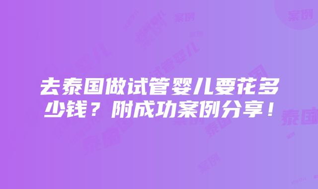 去泰国做试管婴儿要花多少钱？附成功案例分享！