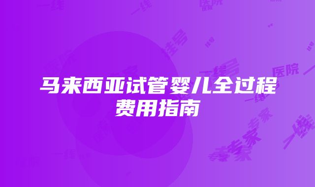 马来西亚试管婴儿全过程费用指南