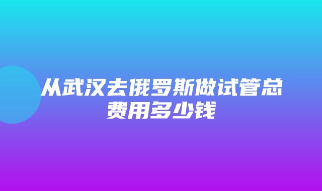 从武汉去俄罗斯做试管总费用多少钱