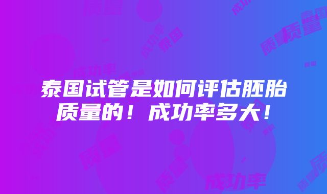 泰国试管是如何评估胚胎质量的！成功率多大！