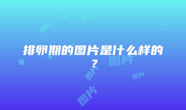 排卵期的图片是什么样的？