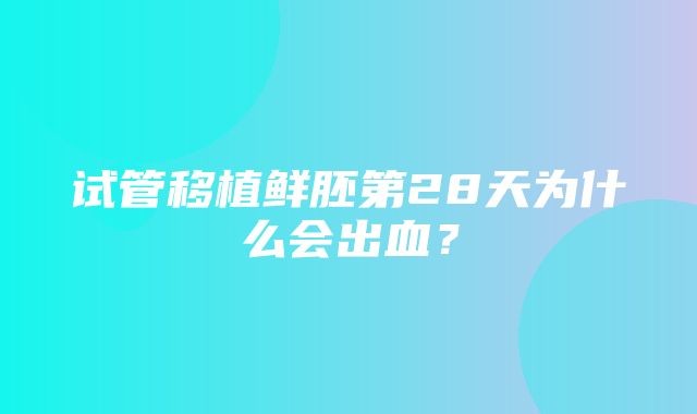 试管移植鲜胚第28天为什么会出血？