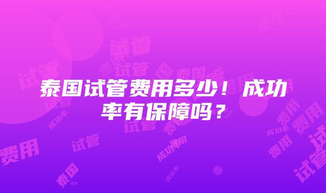 泰国试管费用多少！成功率有保障吗？