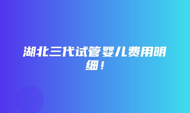 湖北三代试管婴儿费用明细！