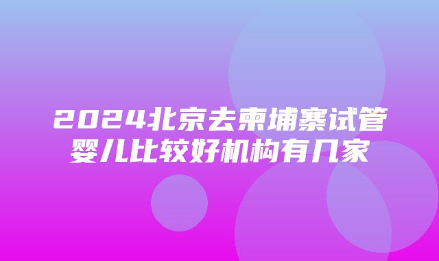 2024北京去柬埔寨试管婴儿比较好机构有几家