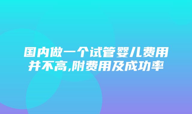 国内做一个试管婴儿费用并不高,附费用及成功率