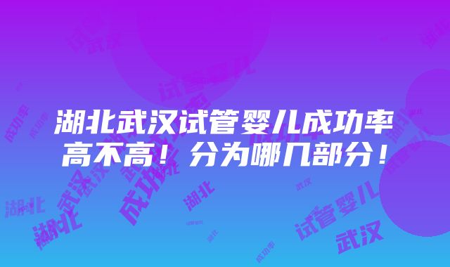 湖北武汉试管婴儿成功率高不高！分为哪几部分！