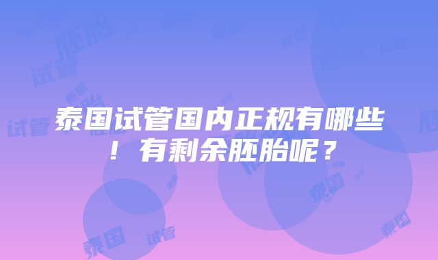 泰国试管国内正规有哪些！有剩余胚胎呢？