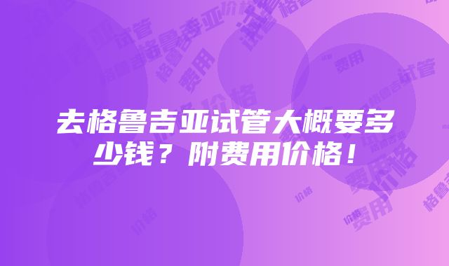 去格鲁吉亚试管大概要多少钱？附费用价格！