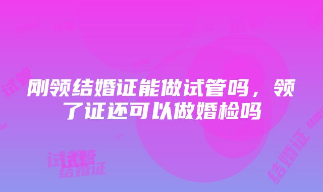 刚领结婚证能做试管吗，领了证还可以做婚检吗